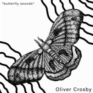 Butterfly Sounds