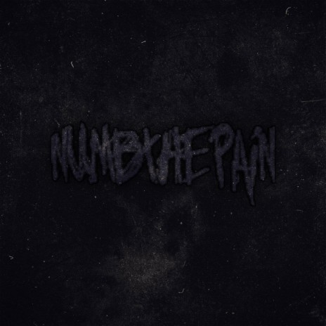 Numb The Pain ft. $a13m Sh4wtyy & Santino Nox | Boomplay Music