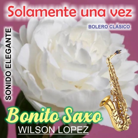 Solamente Una Vez/Bolero Clásico/Sonido Elegante | Boomplay Music