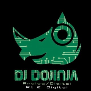 DJ Dojinja