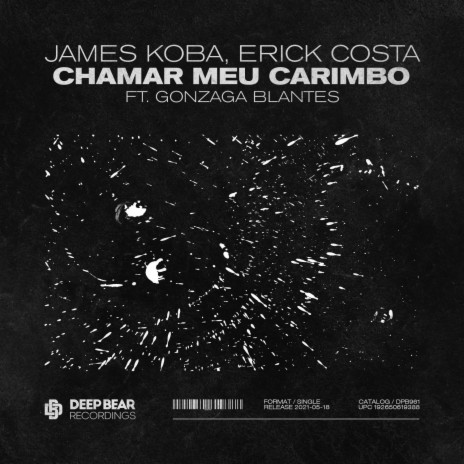Chamar Meu Carimbo ft. Erick Costa & Gonzaga Blantes | Boomplay Music