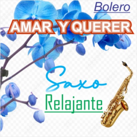 Bolero/Amar Y Querer | Boomplay Music