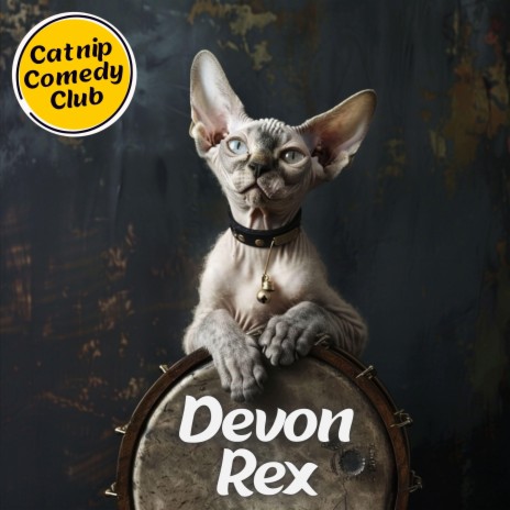 Devon Rex | Boomplay Music