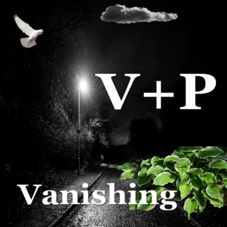 Vanishing | Boomplay Music