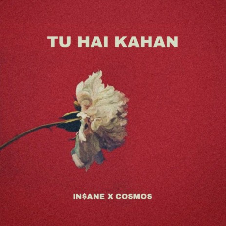 Tu Hai Kahan ft. IN$ANE | Boomplay Music