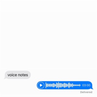 voice notes lyrics | Boomplay Music