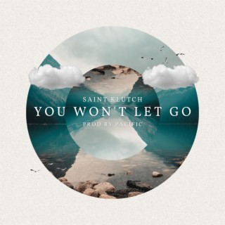 You Won't Let Go lyrics | Boomplay Music