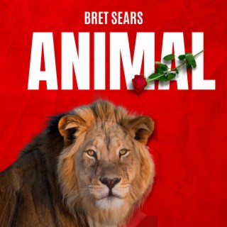 Animal (2023) lyrics | Boomplay Music