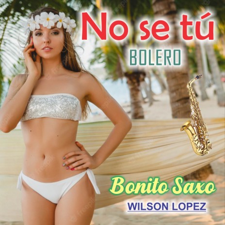 No se Tú/Bolero | Boomplay Music