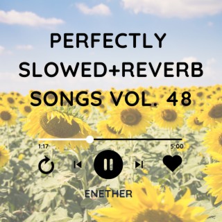 Perfectly Slowed+Reverb Songs Vol. 48