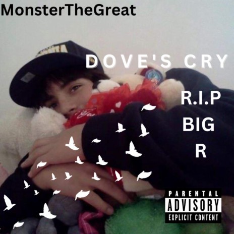 Dove's Cry | Boomplay Music