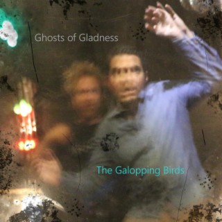 the galopping birds