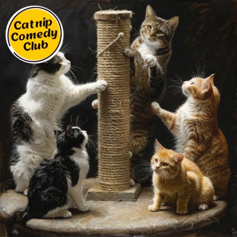 Catnip Comedy Club | Boomplay Music