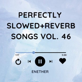 Perfectly Slowed+Reverb Songs Vol. 46