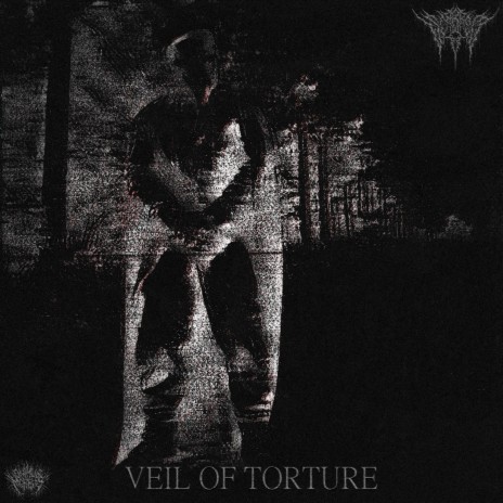 Veil Of Torture | Boomplay Music