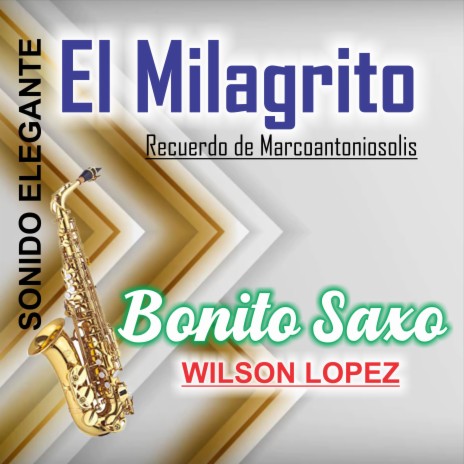 El Milagrito/Recuerdo de Marco Antonio Solís/Sonido Elegante | Boomplay Music