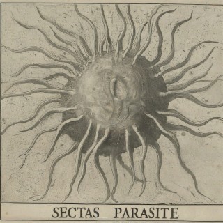 Parasite