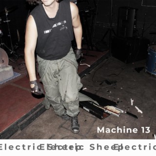 Electric Sheep