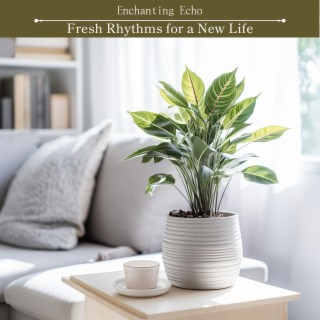 Fresh Rhythms for a New Life