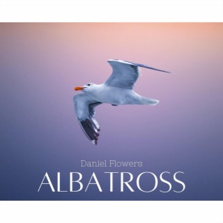 Albatross (Arr. for Guitar)