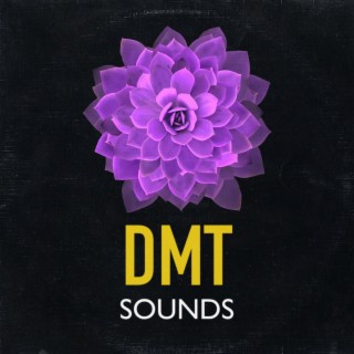 DMT Sounds