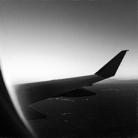 take flight | Boomplay Music