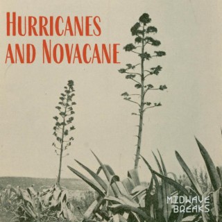 Hurricanes And Novacane lyrics | Boomplay Music