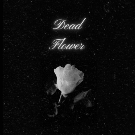 Dead Flower | Boomplay Music