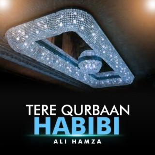 Tere Qurbaan Habibi