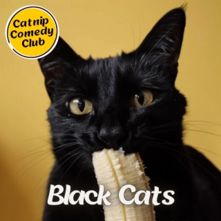 Black Cats