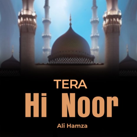 Tera Hi Noor | Boomplay Music