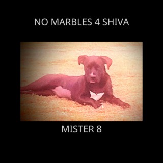 no marbles 4 shiva