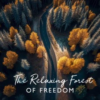 The Relaxing Forest Of Freedom