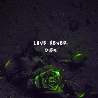 Love Never Dies (Afrobeat Version)