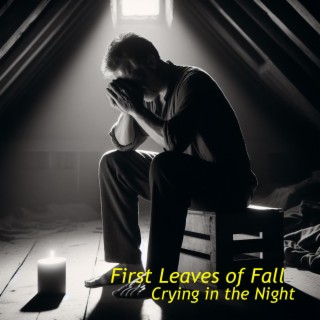 Crying in the Night (enhanced)