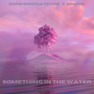 Something In The Water ft. Donforwhatever lyrics | Boomplay Music