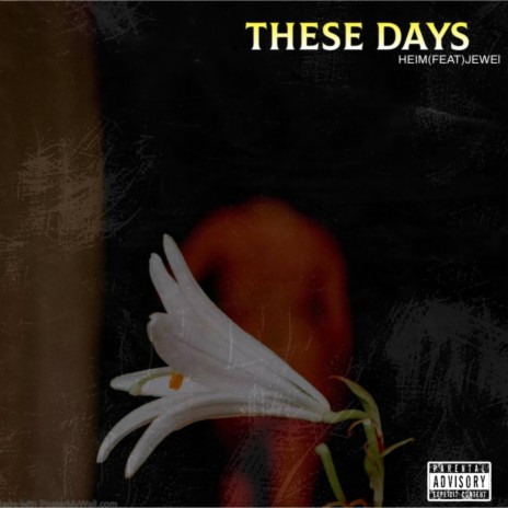 These Days ft. Jewel | Boomplay Music