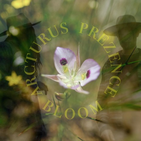 Bloom ft. Prezence | Boomplay Music