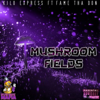 Mushroom Fields
