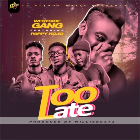 Too Late ft. Pappy Kojo | Boomplay Music