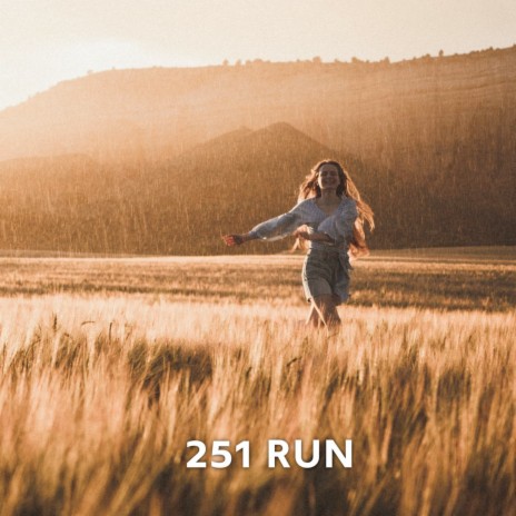 251 Run | Boomplay Music