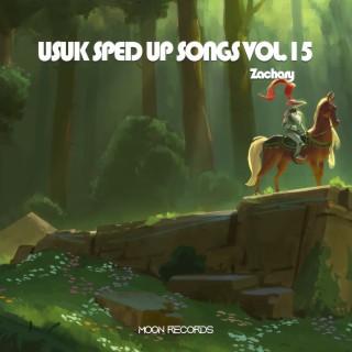 USUK SPED UP SONGS VOL.15