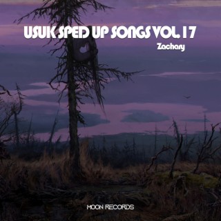 USUK SPED UP SONGS VOL.17