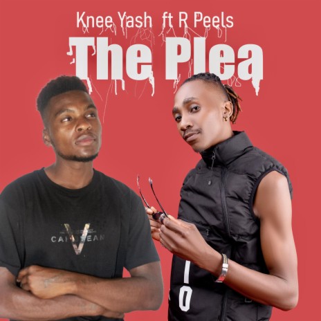 The Plea ft. R.Peels | Boomplay Music