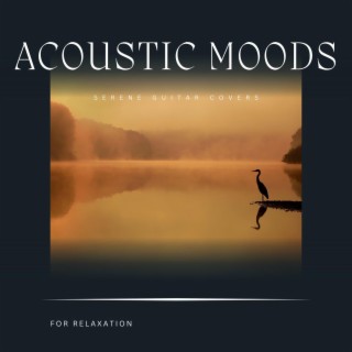 Acoustic Moods: Serene Guitar Covers for Relaxation