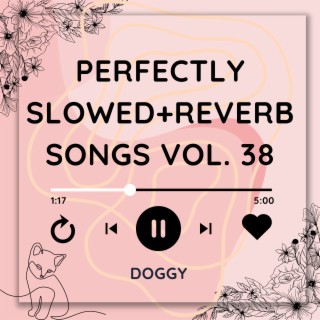 Perfectly Slowed+Reverb Songs Vol. 38