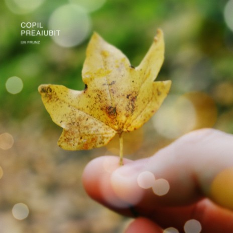 Copil Preaiubit | Boomplay Music