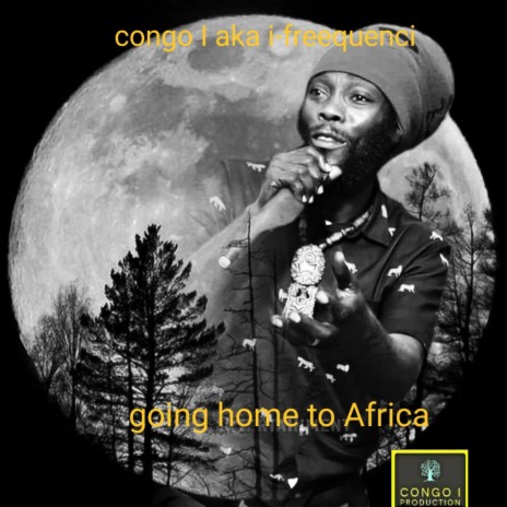 going home to Africa (Radio Edit)