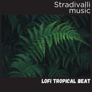 Lofi Tropical Beat