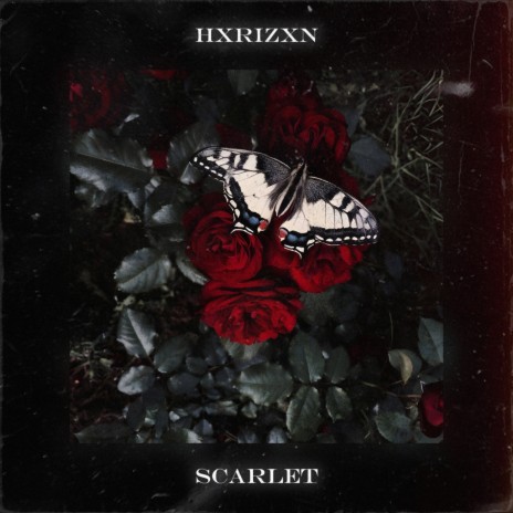 Scarlet | Boomplay Music